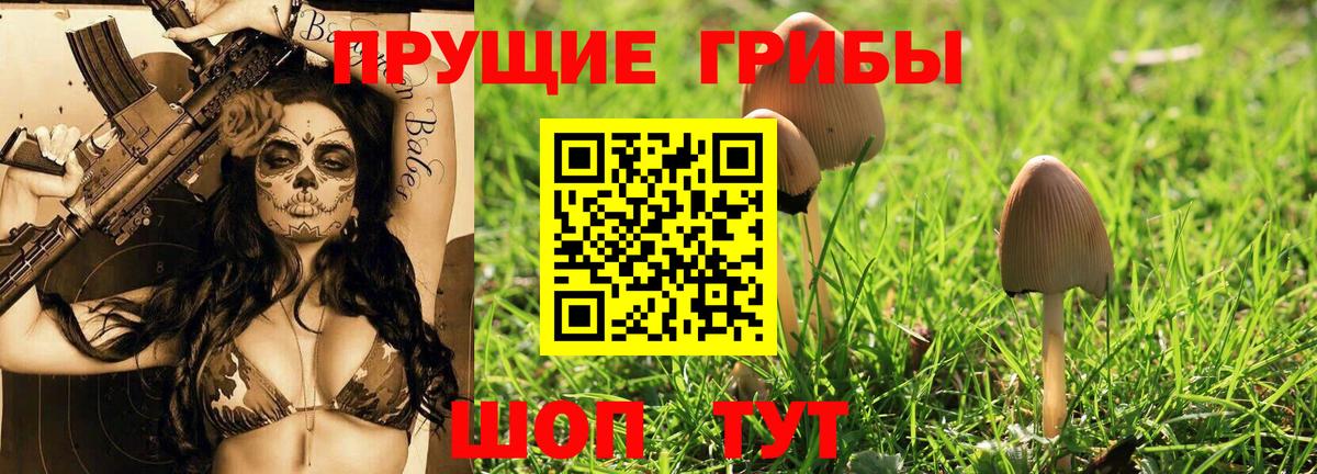 Галлюциногенные грибы Magic Shrooms Нефтеюганск